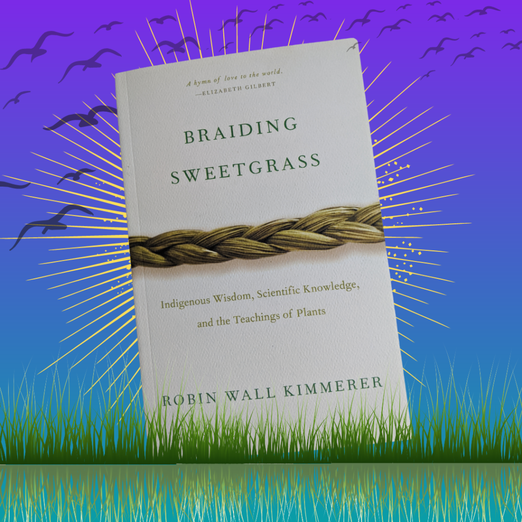 Braiding Sweetgrass book with grass in front, sun behind the book, and birds flying through the sky above